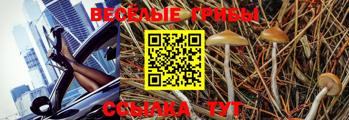 Острогожск  магазин  наркотиков  Вход с VPN  Псилоцибиновые грибы Psilocybe 