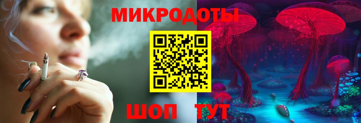 Галлюциногенные грибы Psilocybine cubensis Острогожск