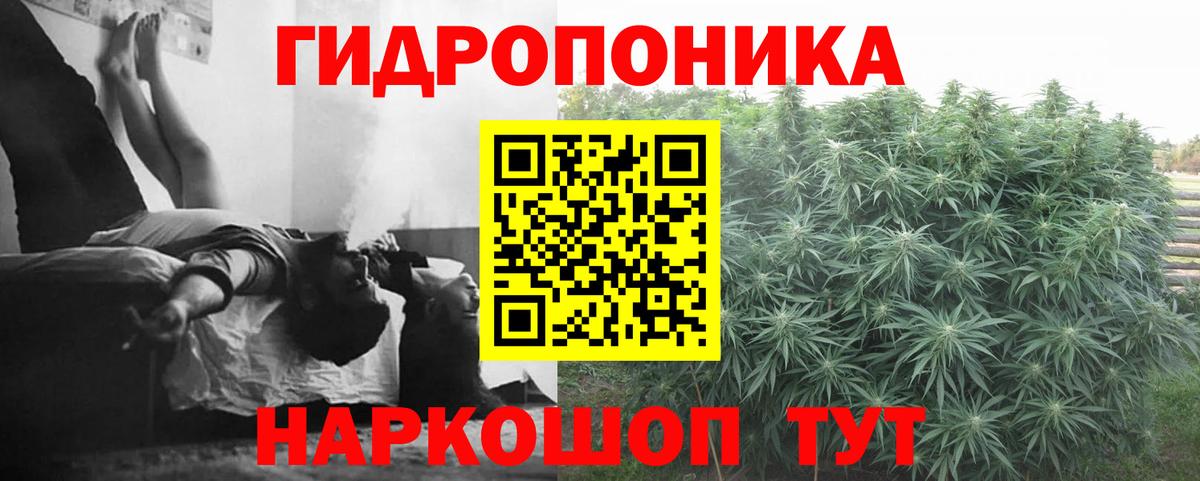 Канабис планчик Острогожск